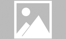 娱乐圈吃瓜表情包图片